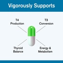 thyroid-support-hormone-balance-mood-ene-4.jpg