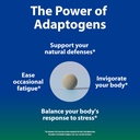 sun-chlorella-sun-ukogi-eleuthero-root-2-2.jpg