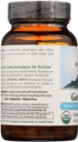organic-india-brahmi-gotu-kola-5.jpg
