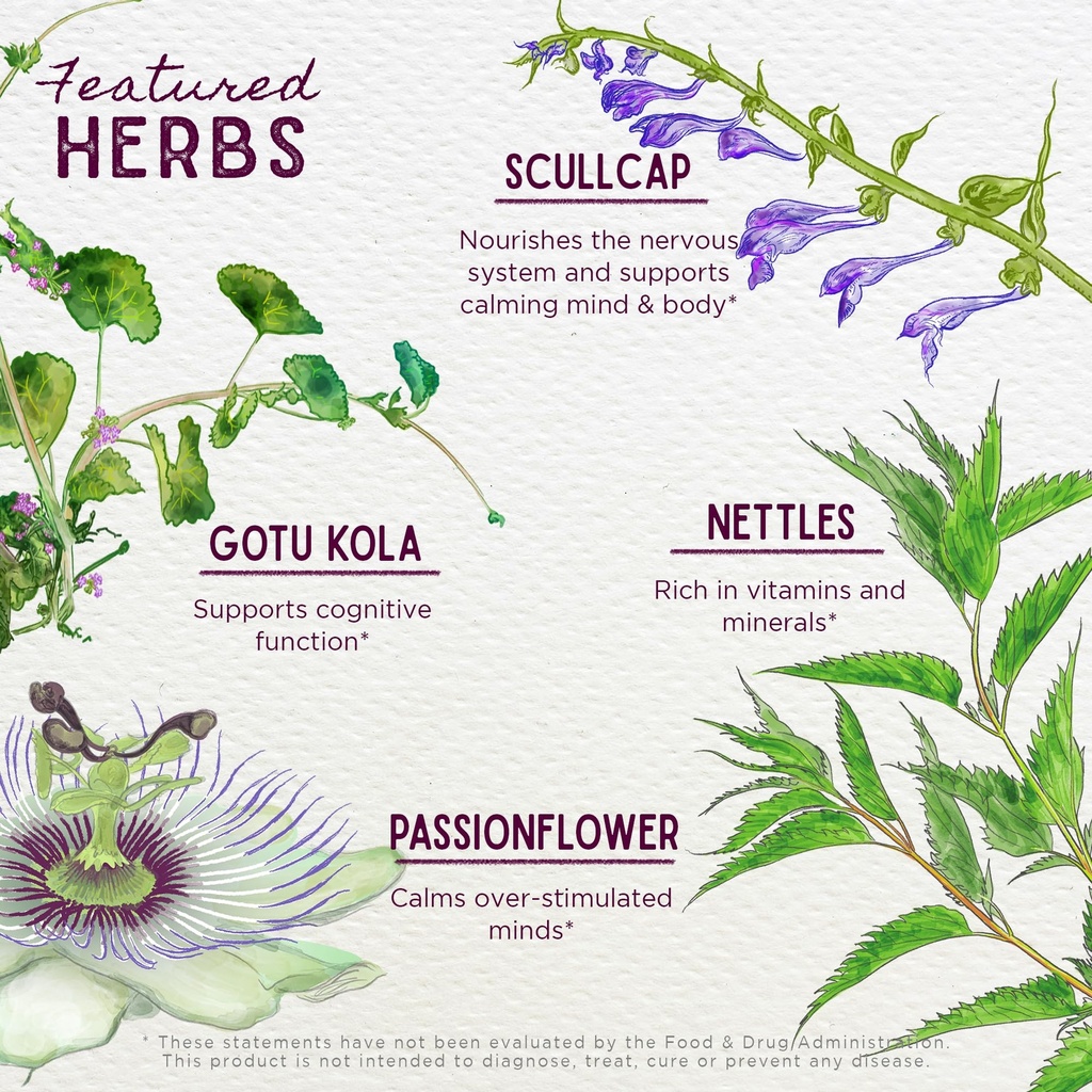 wishgarden-herbs-attention-ally-focus-fr-4.jpg