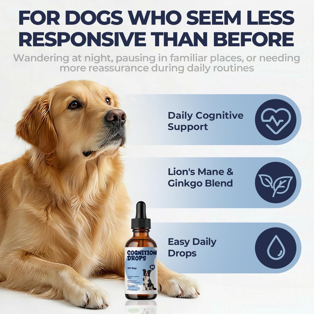 cognitive-support-for-dogs-dog-brain-hea-2.jpg