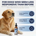 cognitive-support-for-dogs-dog-brain-hea-2.jpg