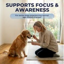 cognitive-support-for-dogs-dog-brain-hea-5.jpg