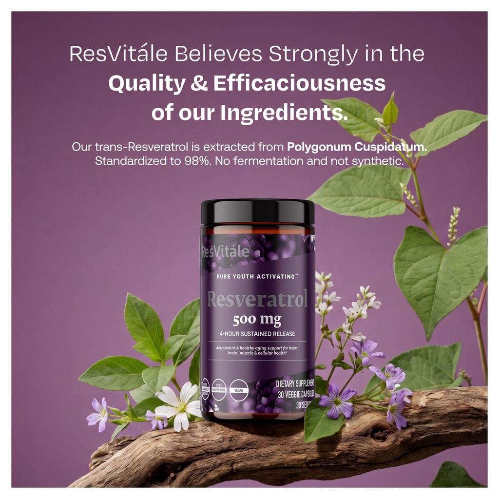 resvit-le-resveratrol-500-mg-resveratrol-4.jpg