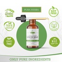 lemon-balm-tincture-alcohol-free-melissa-2.jpg