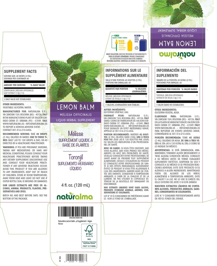 naturalma-lemon-balm-melissa-officinalis-2.jpg
