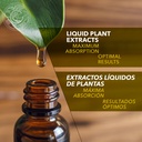 chaparral-gobernadora-larrea-tridentata--4.jpg