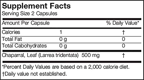 arizona-natural-chaparral-larrea-trident-2.jpg