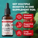 goldenseal-tincture-2-oz-organic-herbal--3.jpg