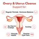 lunza-ovary-and-uterus-cleanse-female-ba-2.jpg