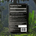 based-supplements-butea-superba-extract--5.jpg
