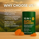 alpha-gummies-10-in-1-for-men-4000mg-him-6.jpg