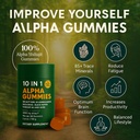 alpha-gummies-10-in-1-for-men-4000mg-him-2.jpg