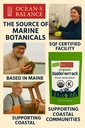ocean-s-balance-clean-organic-bladderwra-6.jpg