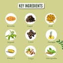 ayurvedashree-ortho-vatika-60-caplets-or-2.jpg