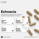humming-herbs-echinacea-complex-with-tul-4.jpg