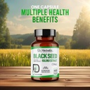 dr-herbalist-black-seed-extract-350mg-ni-2.jpg