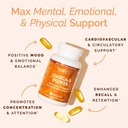 brainmd-dr-amen-omega-3-power-60-capsule-2.jpg