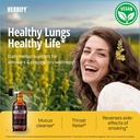 herbify-mullein-drops-lung-cleanse-leaf--3.jpg