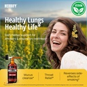 herbify-mullein-drops-lung-cleanse-leaf--3.jpg