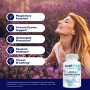 research-verified-lung-and-respiration-s-4.jpg