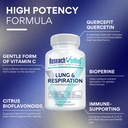 research-verified-lung-and-respiration-s-3.jpg