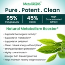 organic-veda-green-tea-extract-matcha-mo-5.jpg