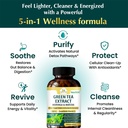 organic-veda-green-tea-extract-matcha-mo-4.jpg