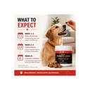 dog-probiotic-chews-gut-health-digestive-5.jpg