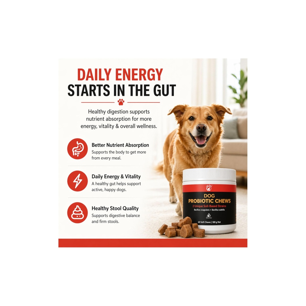 dog-probiotic-chews-gut-health-digestive-4.jpg