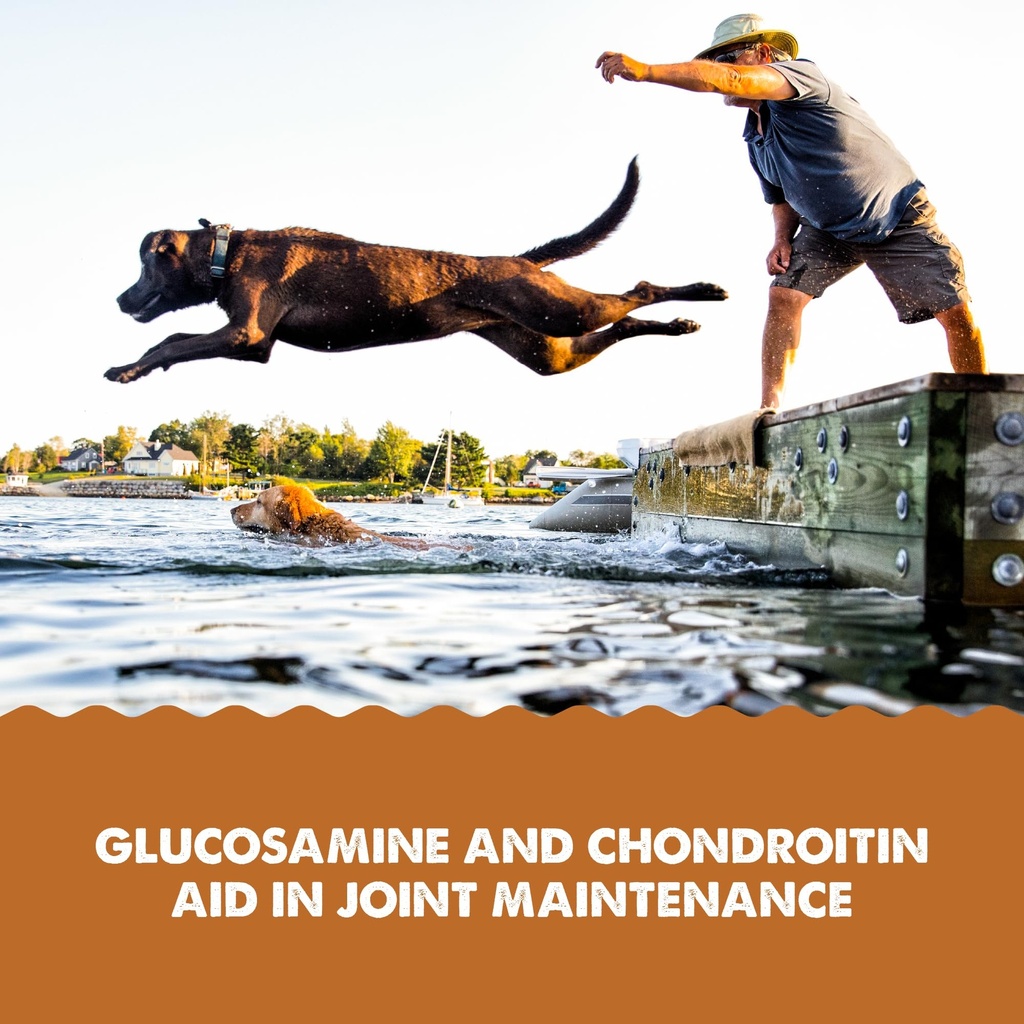 grizzly-pet-products-joint-aid-liquid-hi-5.jpg
