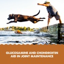 grizzly-pet-products-joint-aid-liquid-hi-5.jpg
