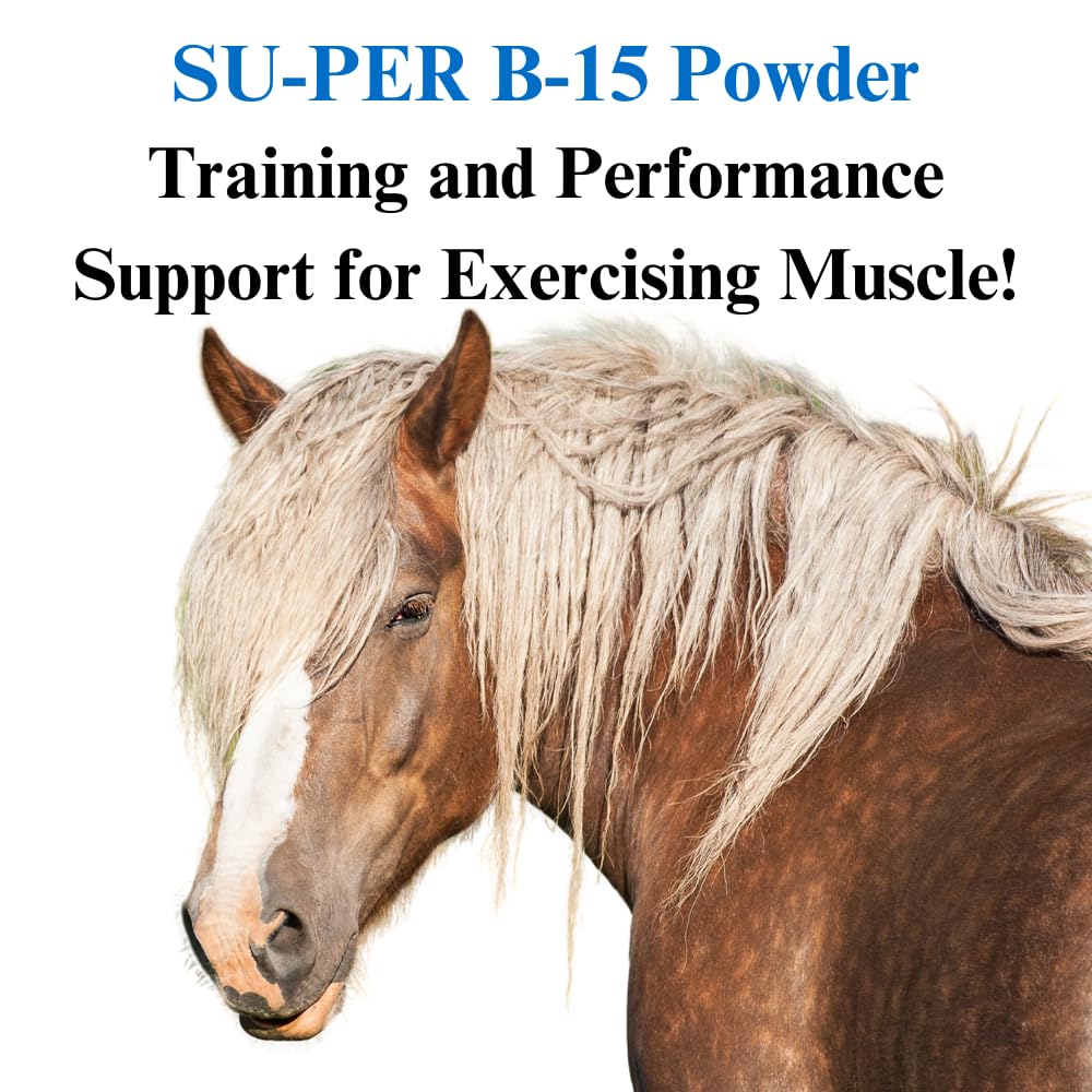 su-per-b-15-vitamin-supplement-for-horse-3.jpg