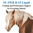su-per-b-15-vitamin-supplement-for-horse-3.jpg