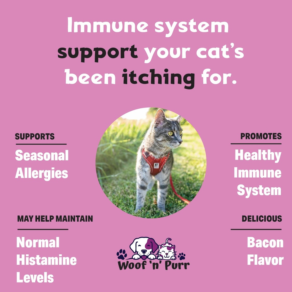 immune-support-for-cats-helps-to-support-3.jpg