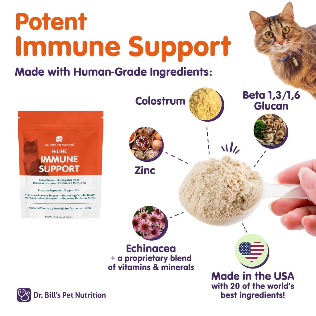 dr-bill-s-feline-immune-support-boosts-c-6.jpg