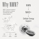 nmn-supplement-60000mg-nicotinamide-mono-3.jpg