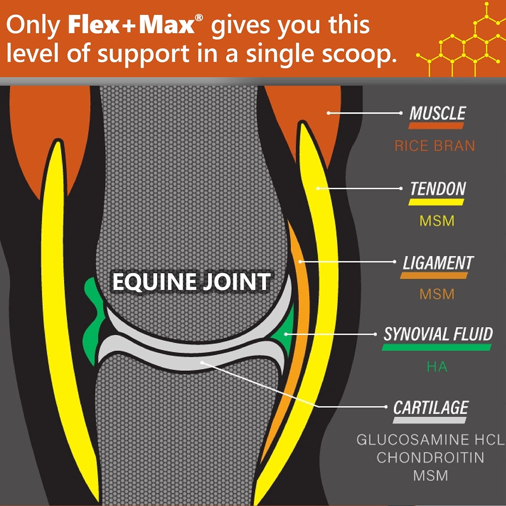 absorbine-flex-max-horse-joint-supplemen-2.jpg