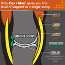 absorbine-flex-max-horse-joint-supplemen-2.jpg