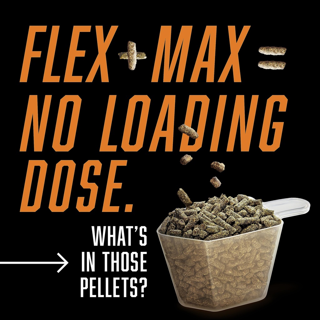 absorbine-flex-max-horse-joint-supplemen-5.jpg