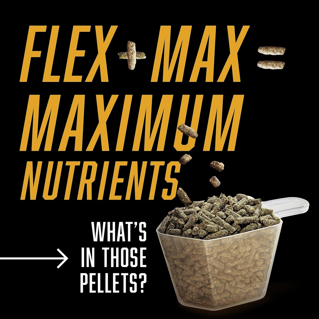 absorbine-flex-max-horse-joint-supplemen-6.jpg