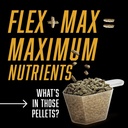 absorbine-flex-max-horse-joint-supplemen-6.jpg