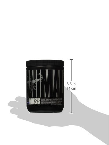 universalnutritionanimalmasssupplement-v-2.jpg