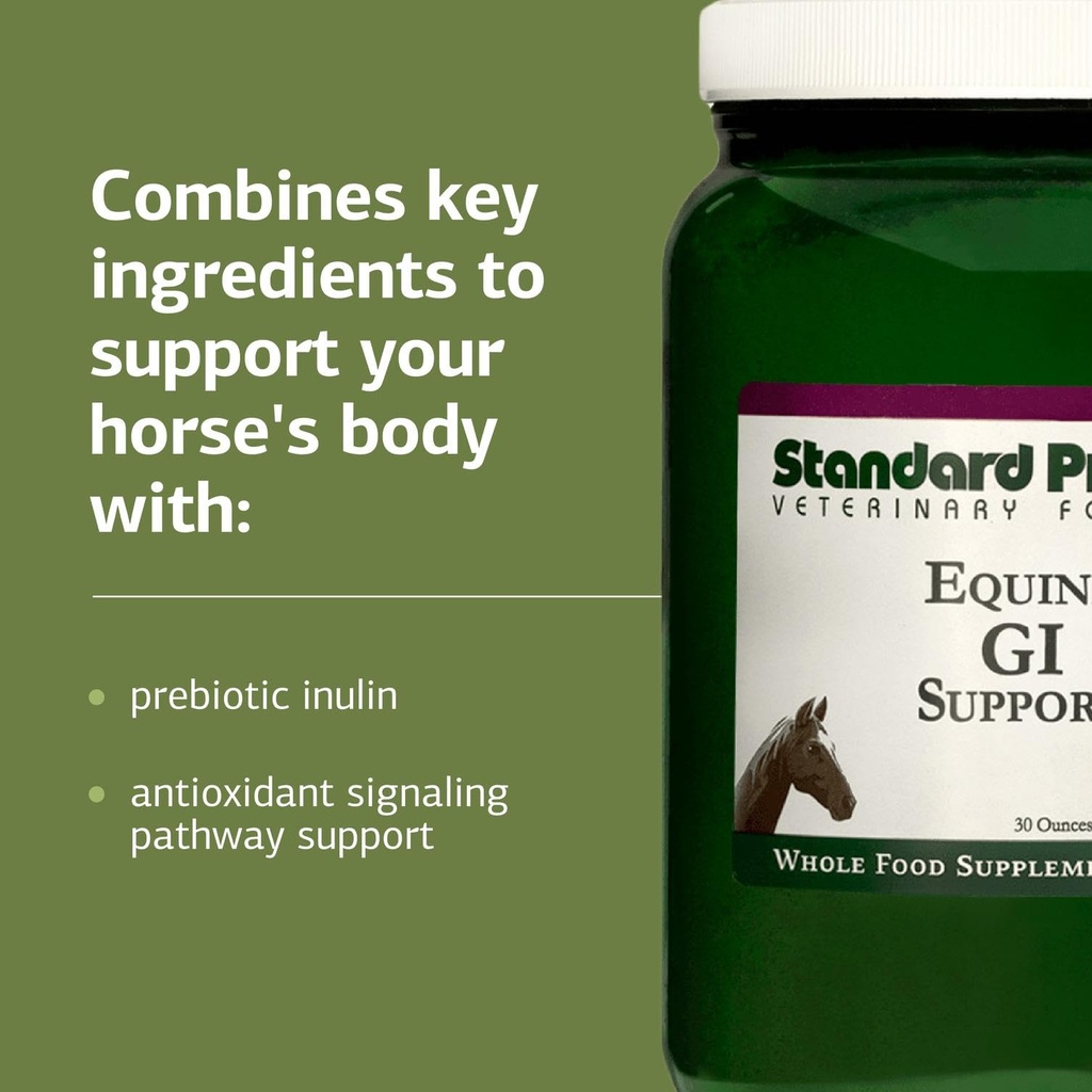 standard-process-inc-equine-gi-support-d-4.jpg