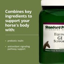 standard-process-inc-equine-gi-support-d-4.jpg