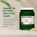 standard-process-inc-equine-gi-support-d-3.jpg