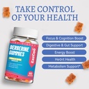 2-pack-berberine-gummies-1200mg-berberin-2.jpg