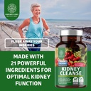 n1n-premium-kidney-cleanse-21-potent-her-5.jpg