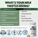 milk-thistle-for-women-supports-liver-de-3.jpg