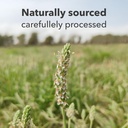 vizana-psyllium-husk-100-whole-husk-natu-6.jpg